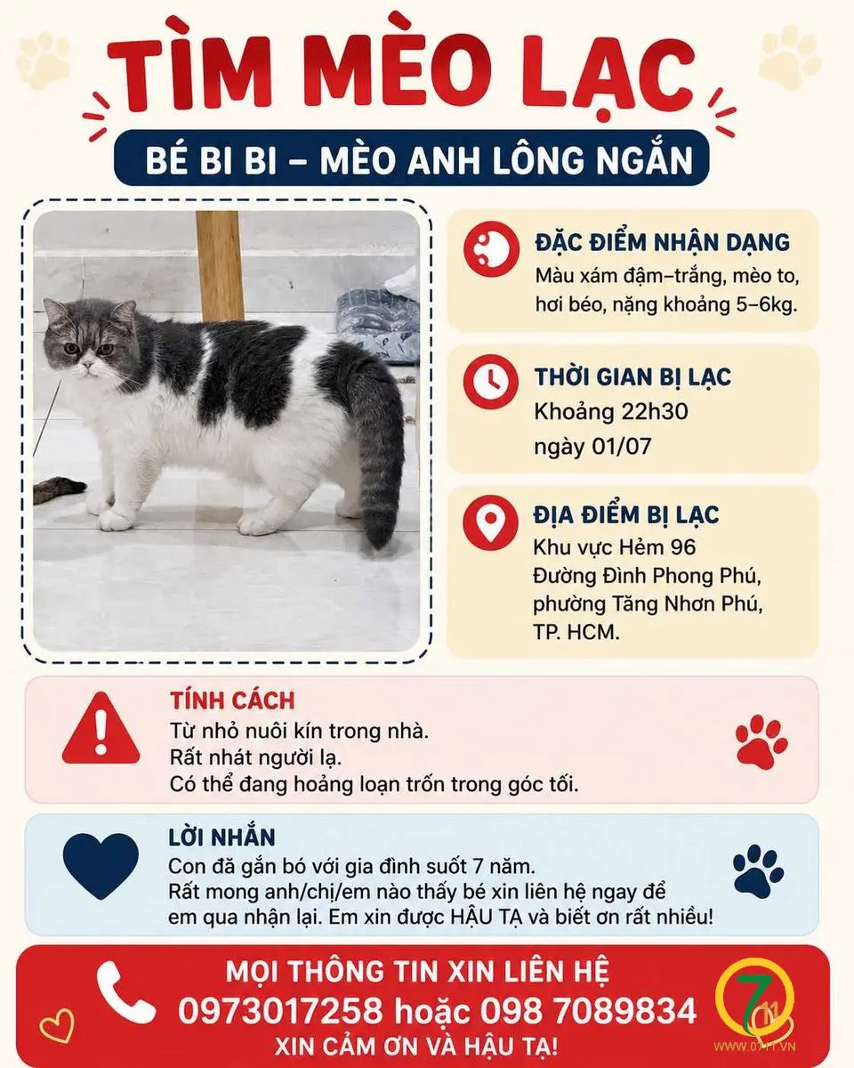 🆘 TÌM CHUỘC BÉ MÈO ĐI LẠC Ở TPHCM