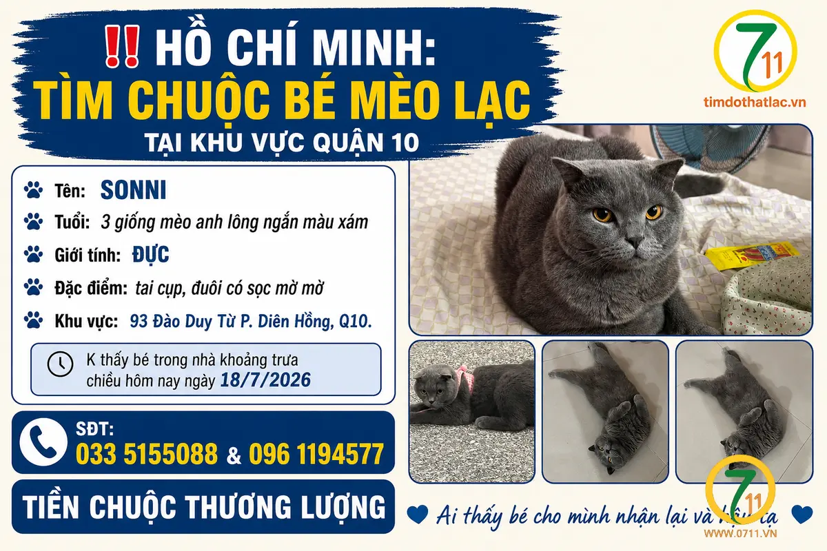 ‼️ Hồ Chí Minh: Tìm chuộc bé mèo lạc tại khu vực quận 10