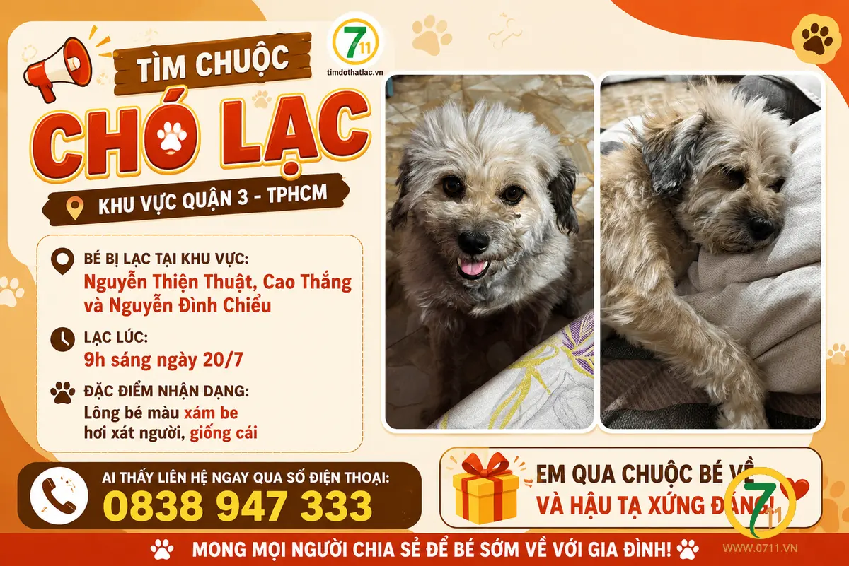 🆘 TÌM CHUỘC chó lạc khu vực Quận 3 TPHCM