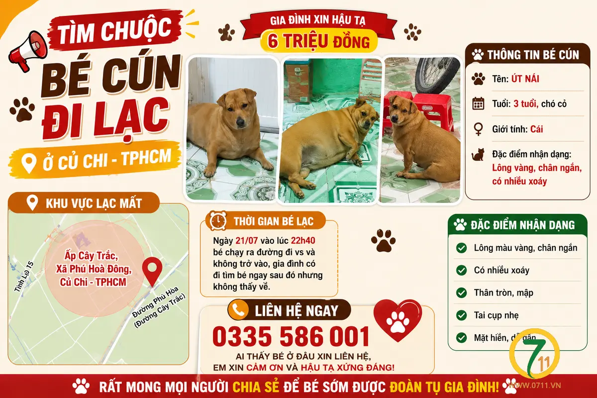 🆘 TÌM CHUỘC BÉ CÚN ĐI LẠC Ở CỦ CHI - TPHCM