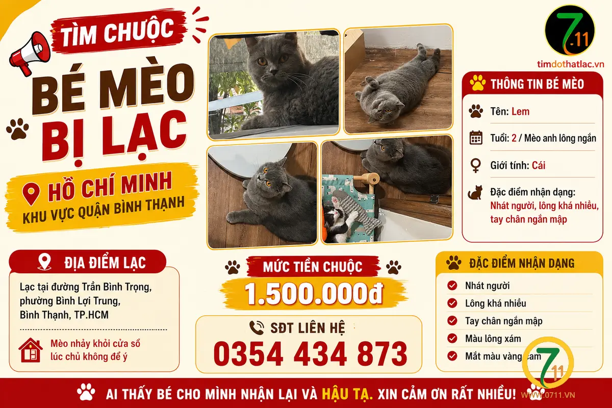 ‼️ Hồ Chí Minh: Tìm chuộc bé mèo lạc tại khu vực quận Bình Thạnh