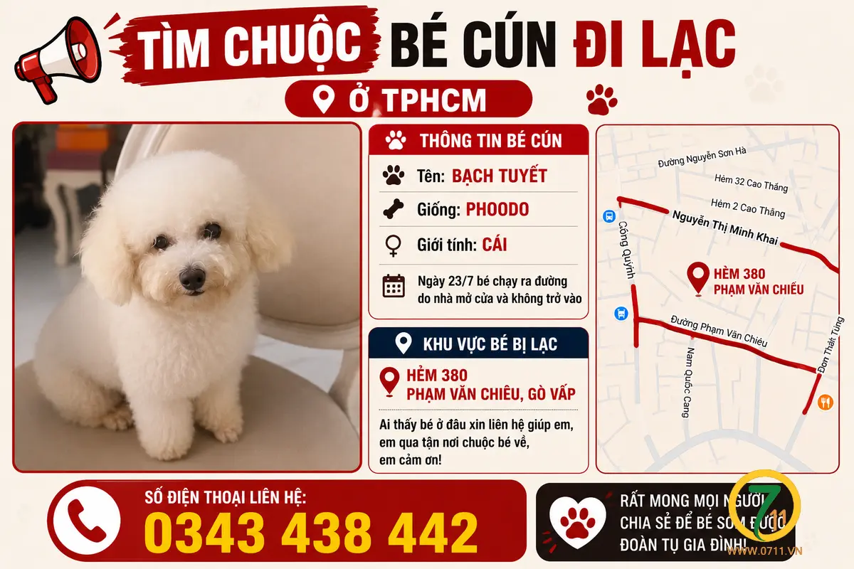 🆘 TÌM CHUỘC BÉ CÚN ĐI LẠC Ở TPHCM