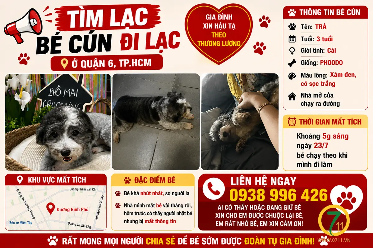 🆘 Tìm lạc bé cún đi lạc ở Quận 6, tpHCM