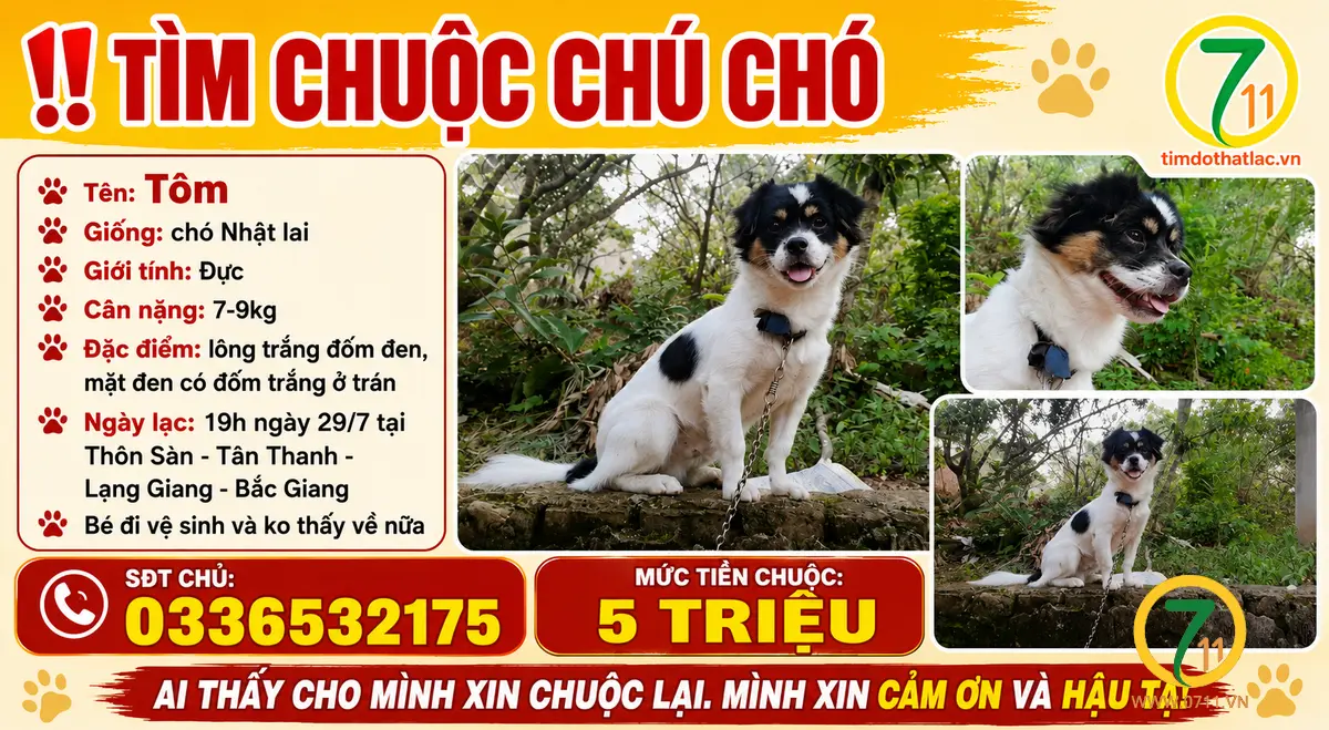 Tìm chuộc chú chó thất lạc ở Bắc Giang