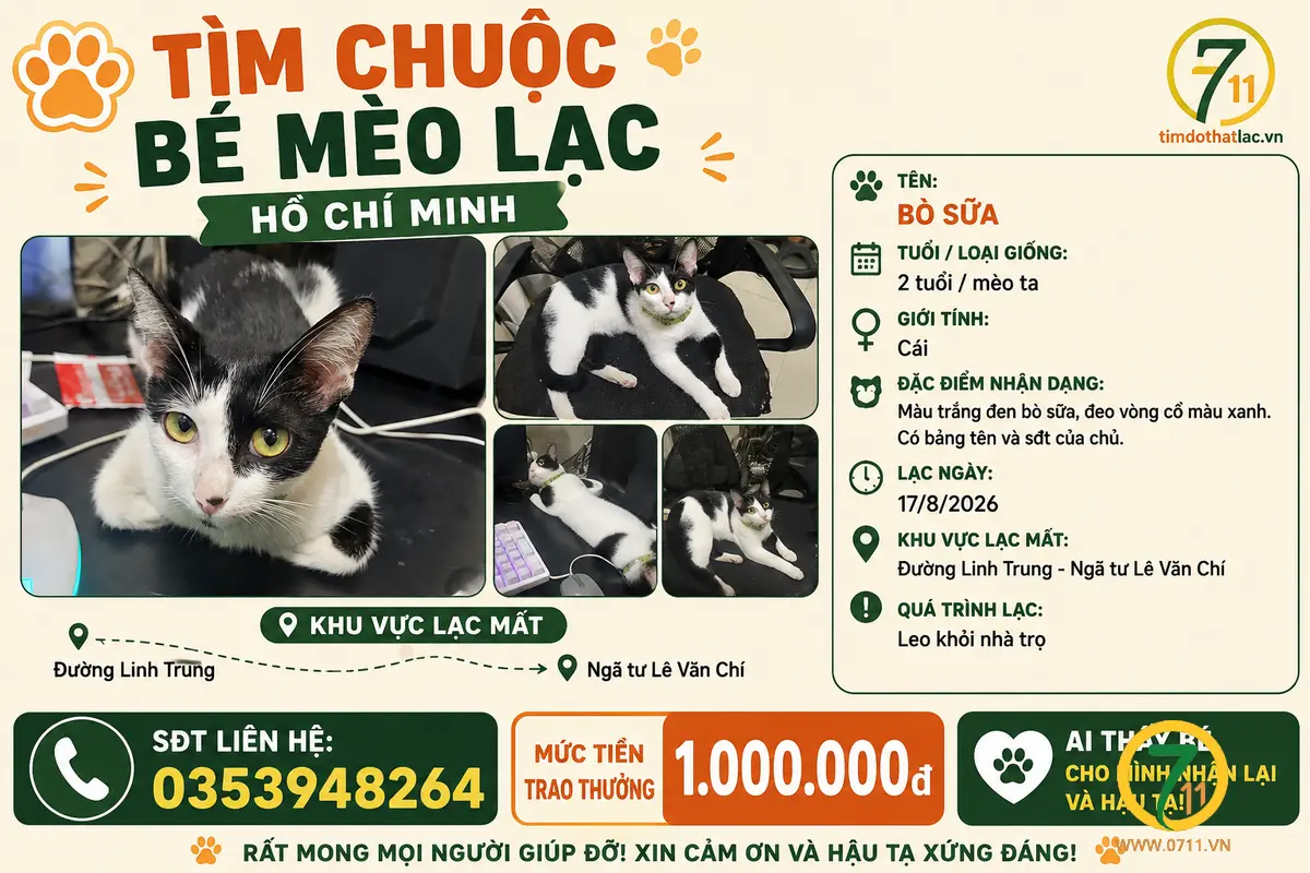 ‼️ Hồ Chí Minh: Tìm chuộc bé mèo lạc tại khu vực đường Linh Trung