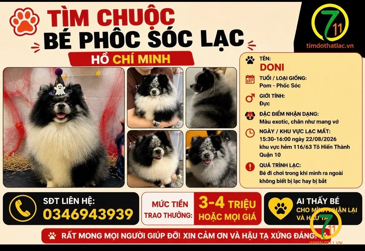 ‼️ Hồ Chí Minh: Tìm chuộc bé phốc sóc lạc tại khu vực đường Tô Hiến Thành, quận 10