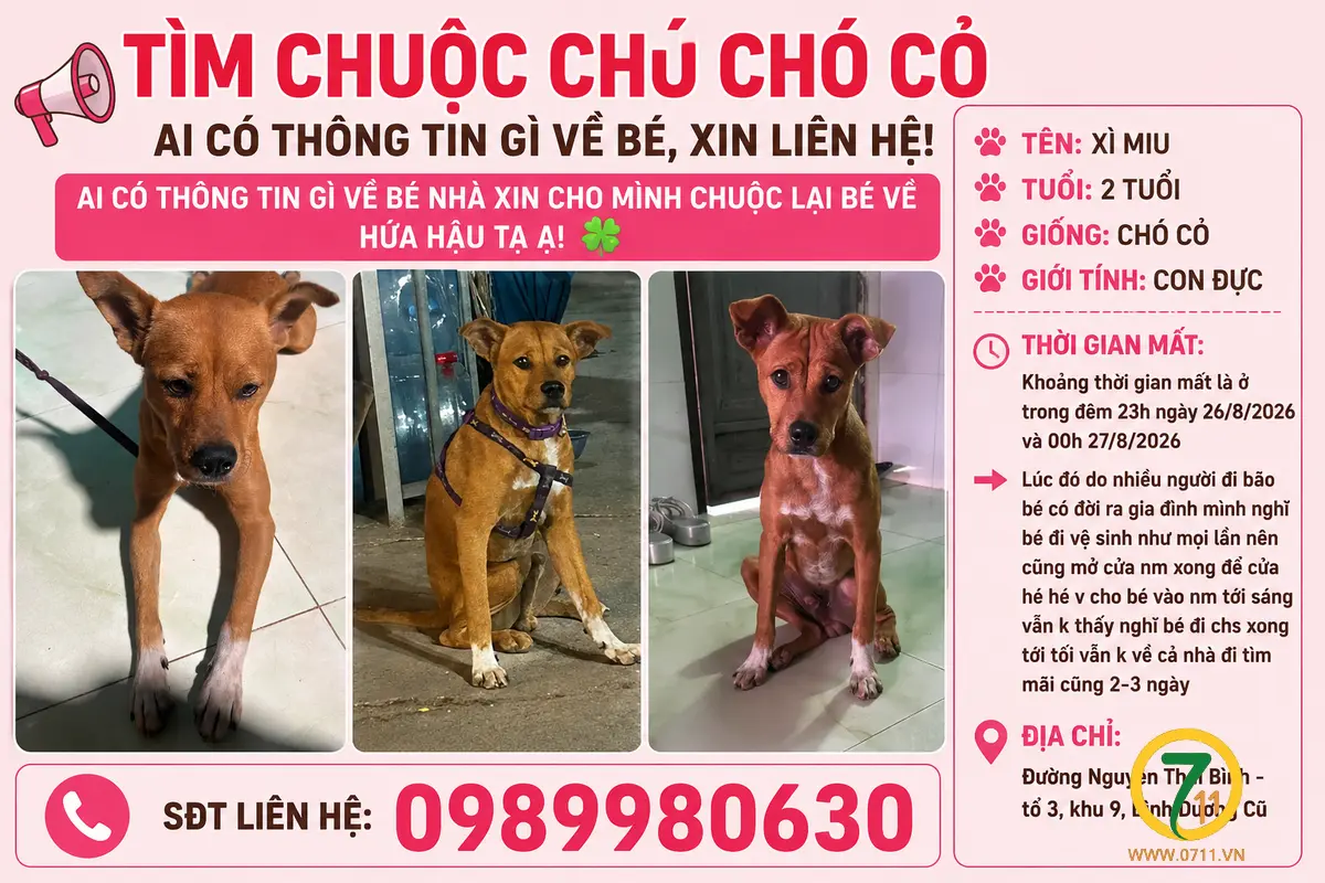 🐾tìm chuộc chú chó cỏ trên hình lạc tại Bình Dương
