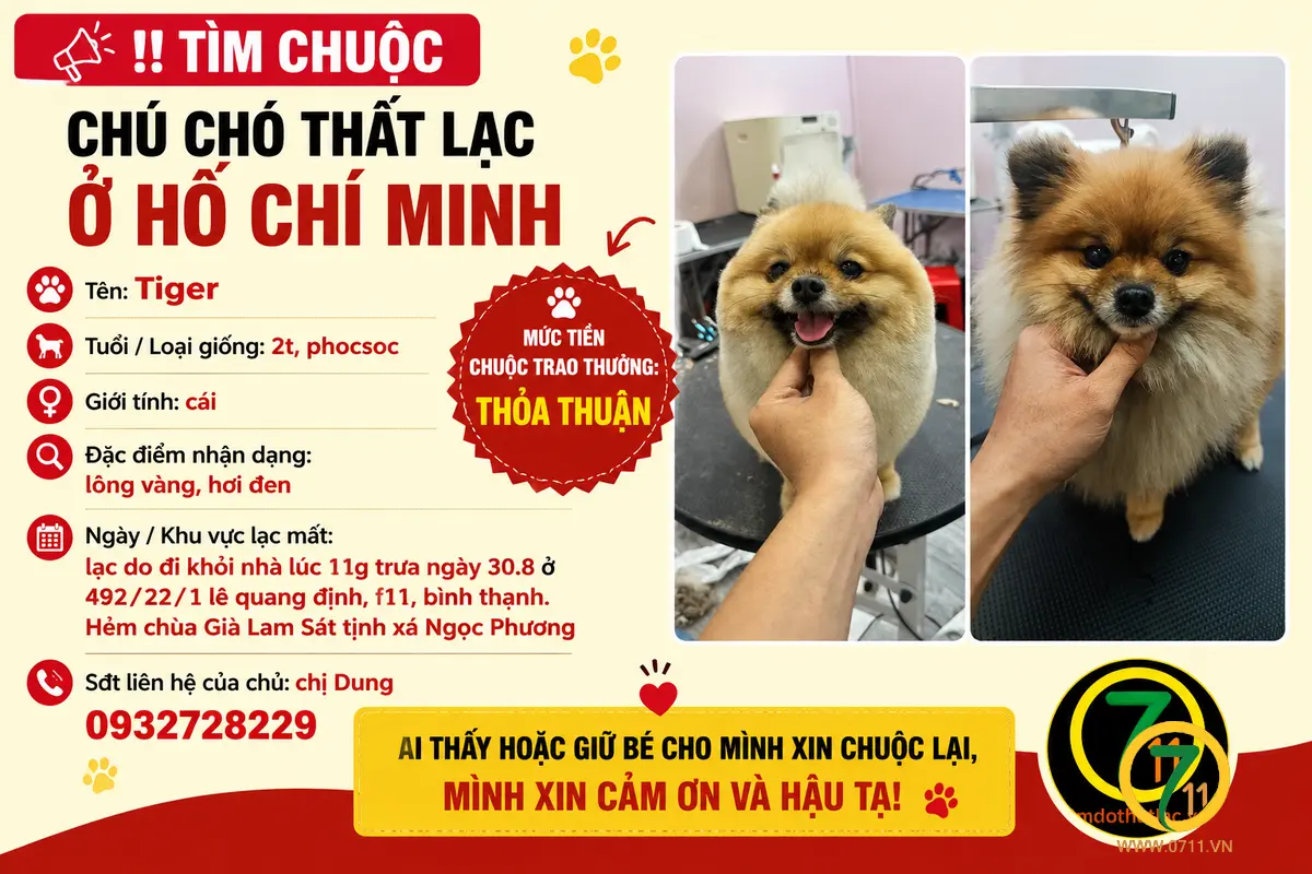 Tìm chuộc chú chó thất lạc ở Hồ Chí Minh