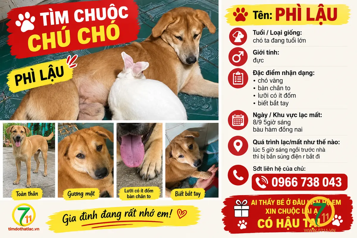 Tìm chuộc chú chó thất lạc ở Đồng Nai