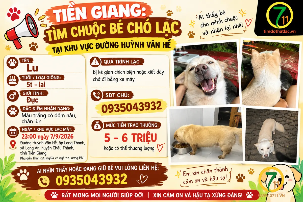 ‼️ Tiền Giang: Tìm chuộc bé chó lạc tại khu vực đường Huỳnh Văn Hề