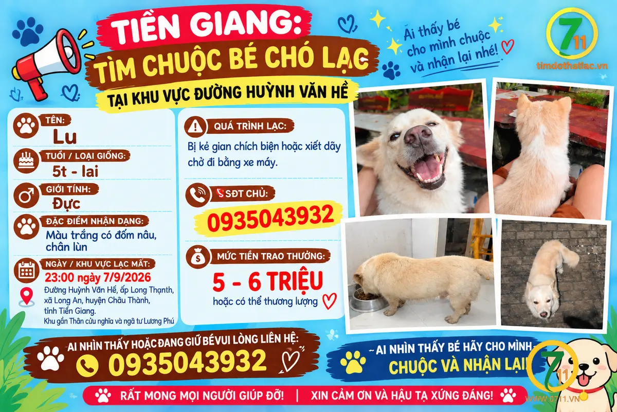 ‼️ Tiền Giang: Tìm chuộc bé chó lạc tại Châu Thành, Tiền Giang