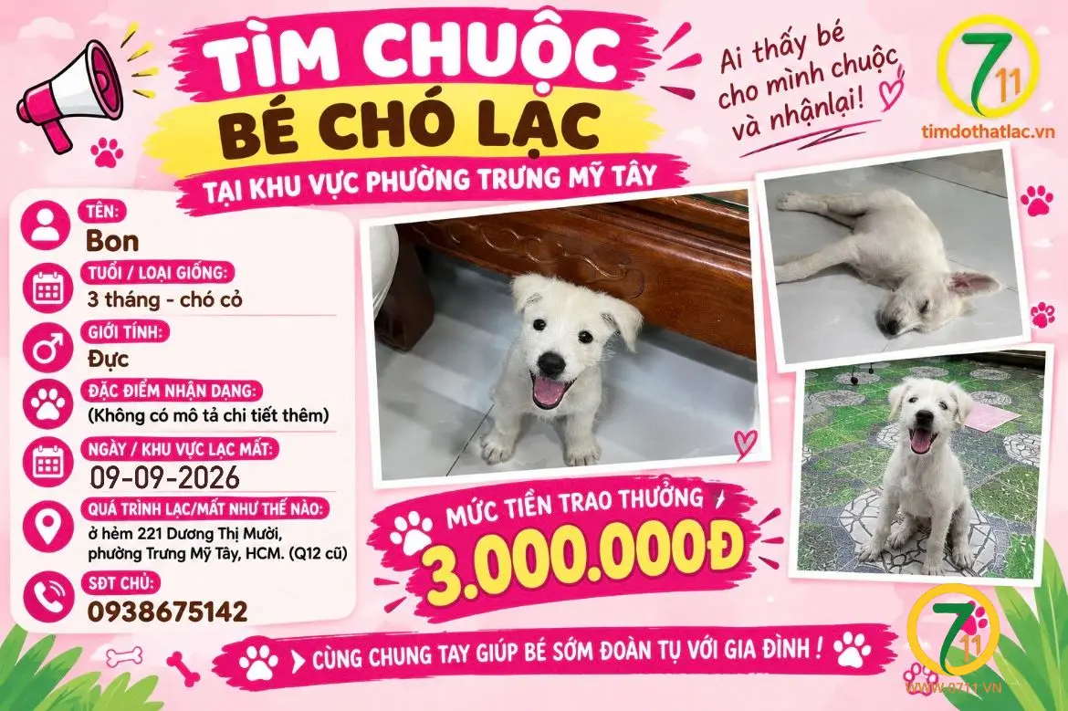 ‼️ Hồ Chí Minh: Tìm chuộc bé chó lạc tại khu vực phường Trưng Mỹ Tây