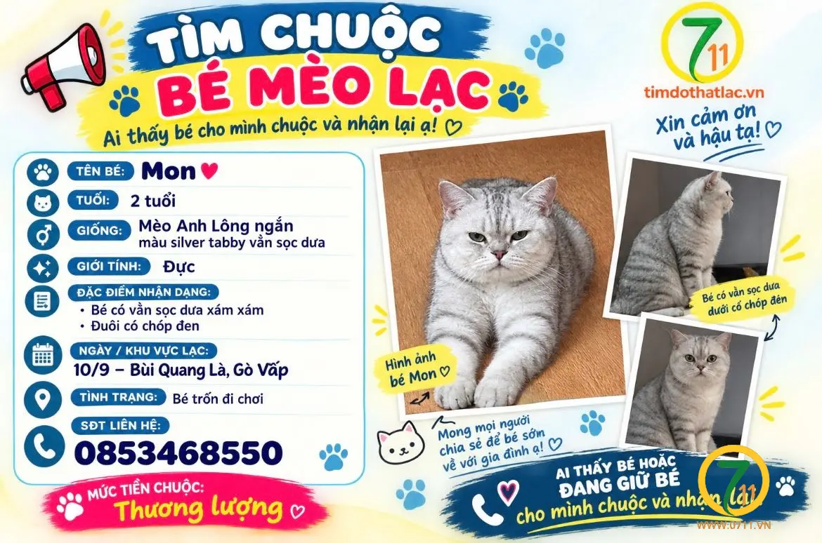 ‼️ Hồ Chí Minh: Tìm chuộc bé mèo lạc tại khu vực Gò Vấp