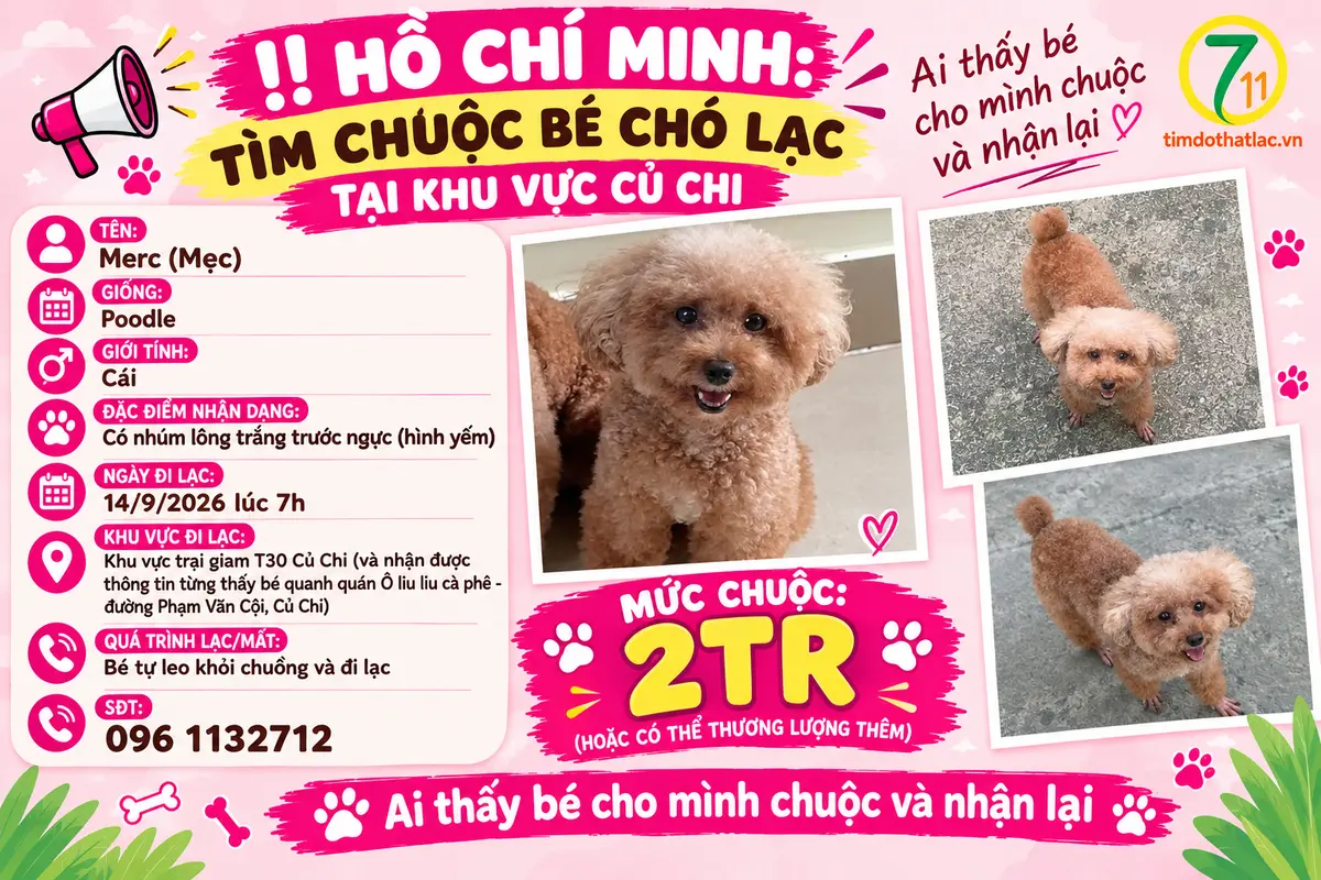 ‼️ Hồ Chí Minh: Tìm chuộc bé chó lạc tại khu vực Củ Chi