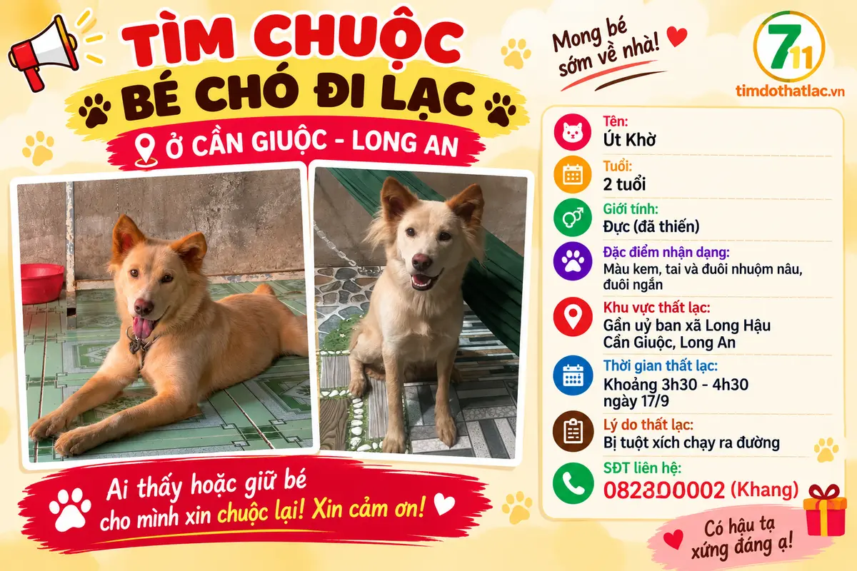 🆘 TÌM CHUỘC BÉ CHÓ ĐI LẠC Ở CẦN GIUỘC - LONG AN