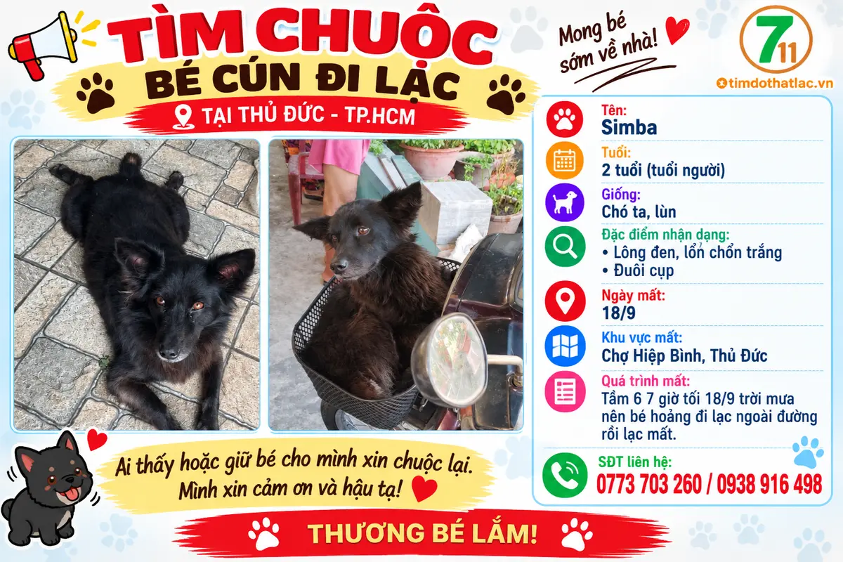 🆘 TÌM CHUỘC BÉ CÚN ĐI LẠC Ở THỦ ĐỨC - TPHCM