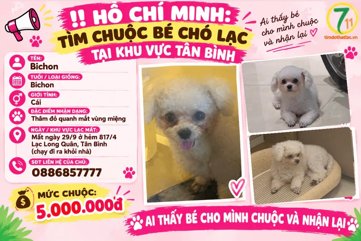 ‼️ Hồ Chí Minh: Tìm chuộc bé chó lạc tại khu vực Tân Bình