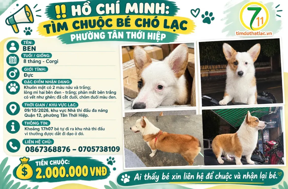 ‼️ Hồ Chí Minh: Tìm chuộc bé chó lạc tại khu vực phường Tân Thới Hiệp