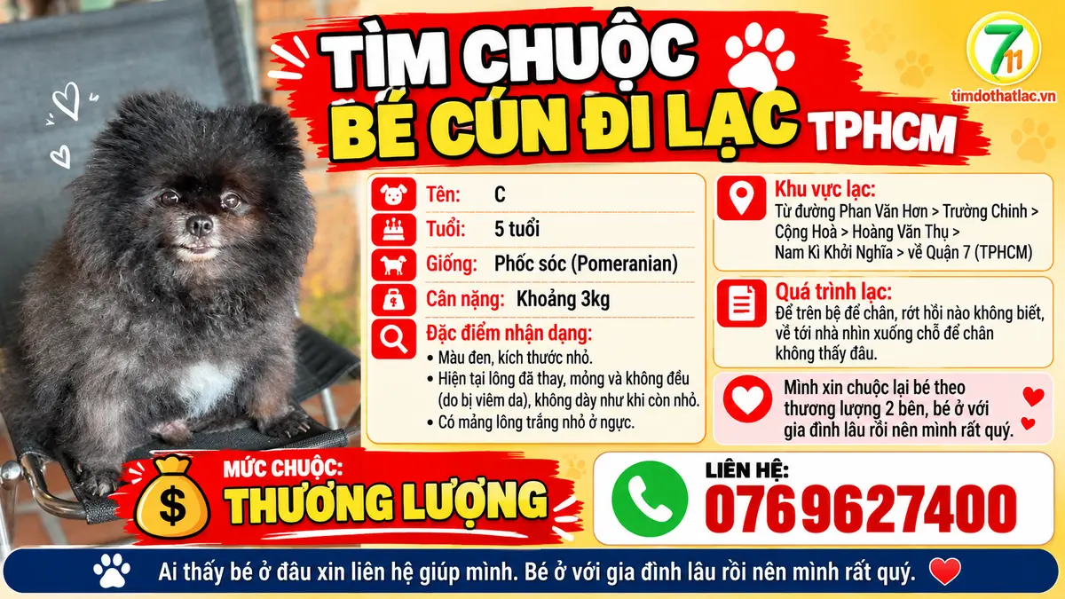🆘 TÌM CHUỘC BÉ CÚN ĐI LẠC TPHCM