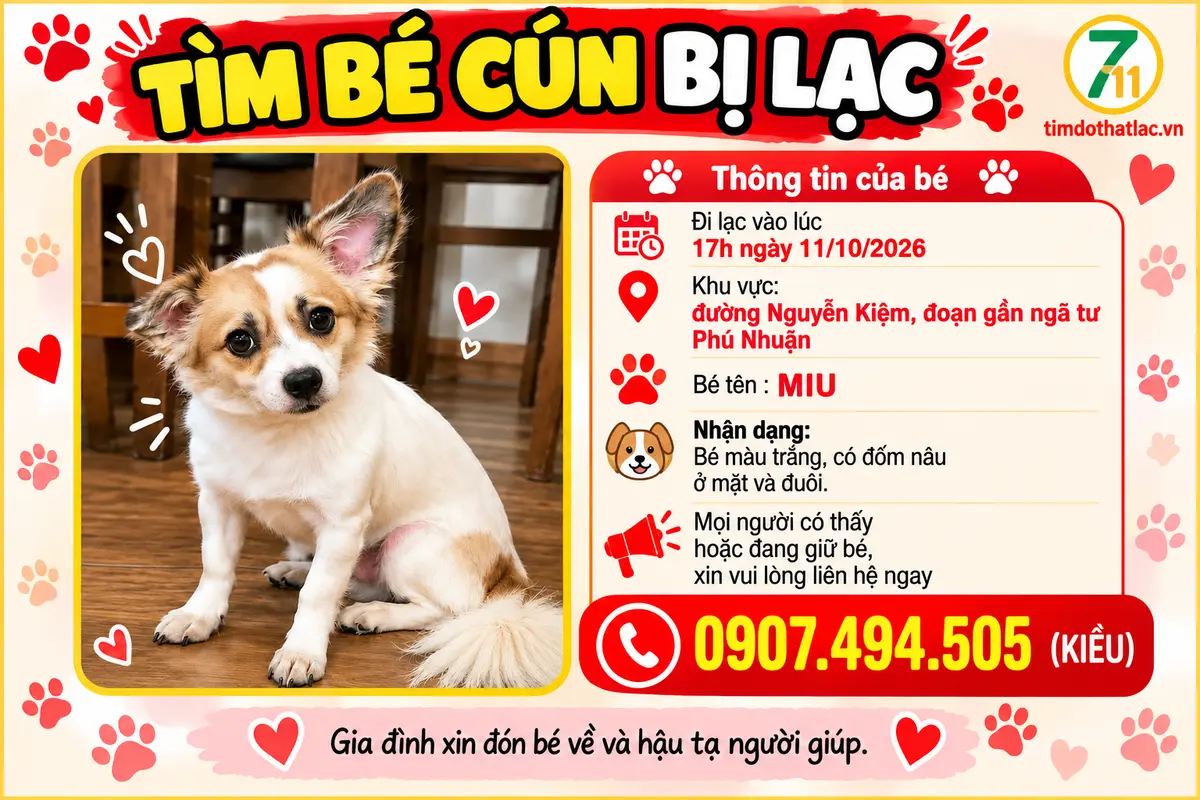 🆘 TÌM CHUỘC BÉ CHÓ ĐI LẠC ở TPHCM