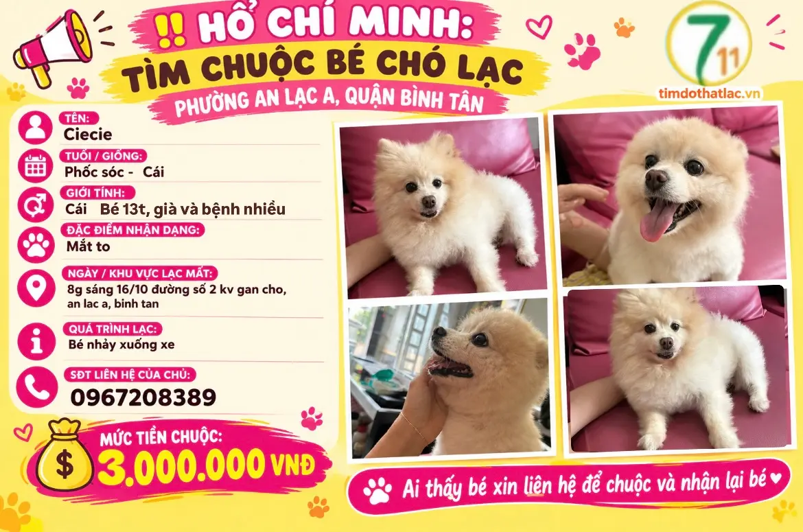 ‼️ Hồ Chí Minh: Tìm chuộc bé chó lạc tại khu vực An Lạc A