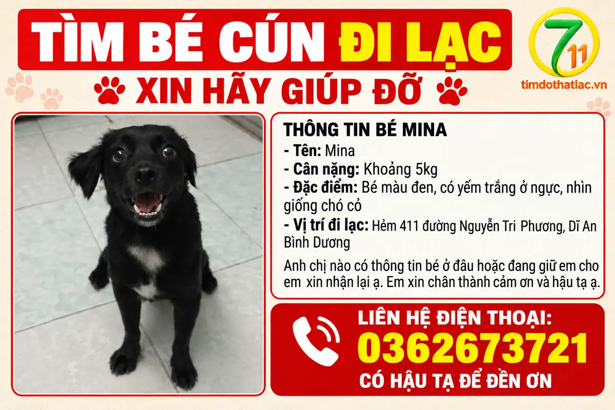 🆘 TÌM CHUỘC BÉ CÚN ĐI LẠC Ở BÌNH DƯƠNG