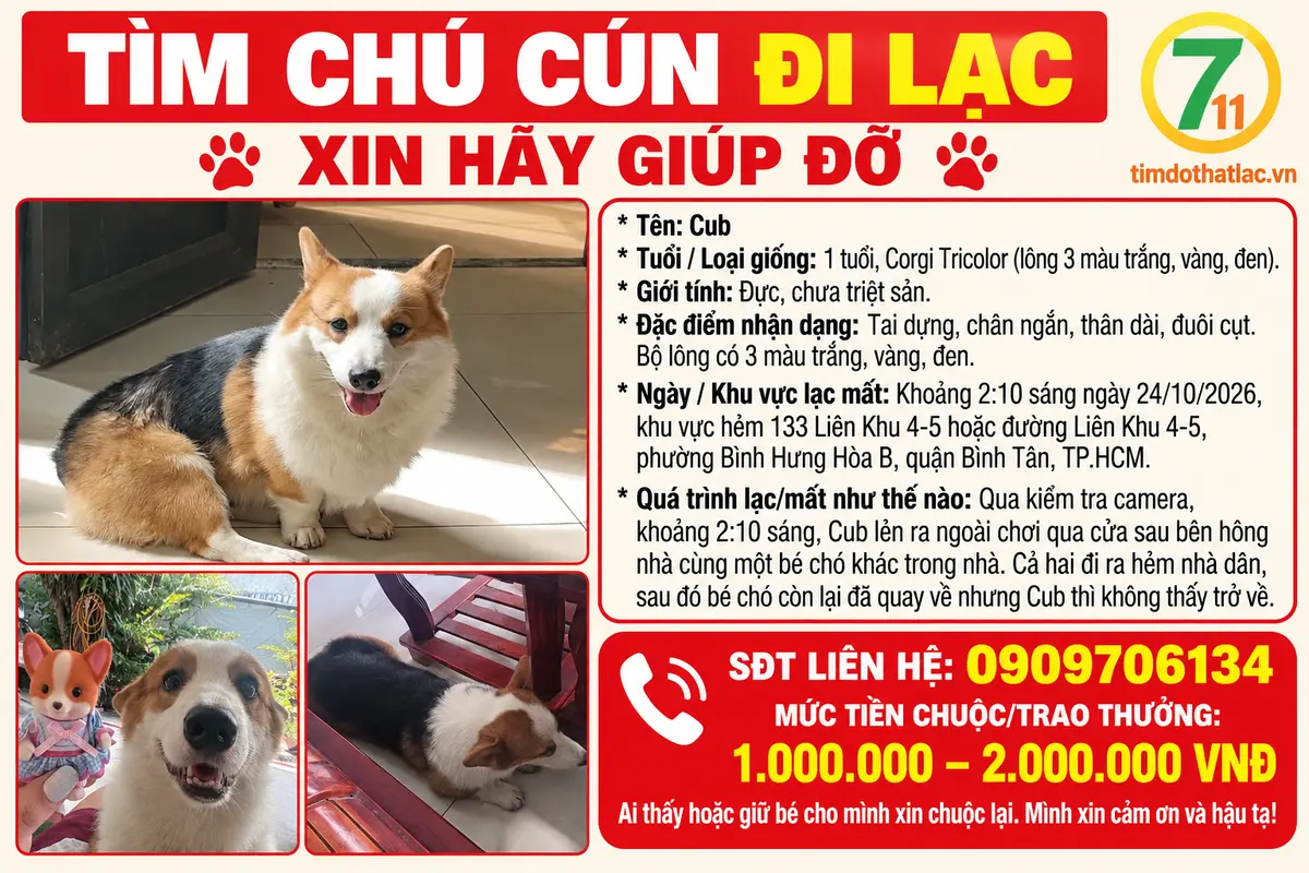 Tìm chuộc chú chó thất lạc ở Hồ Chí Minh