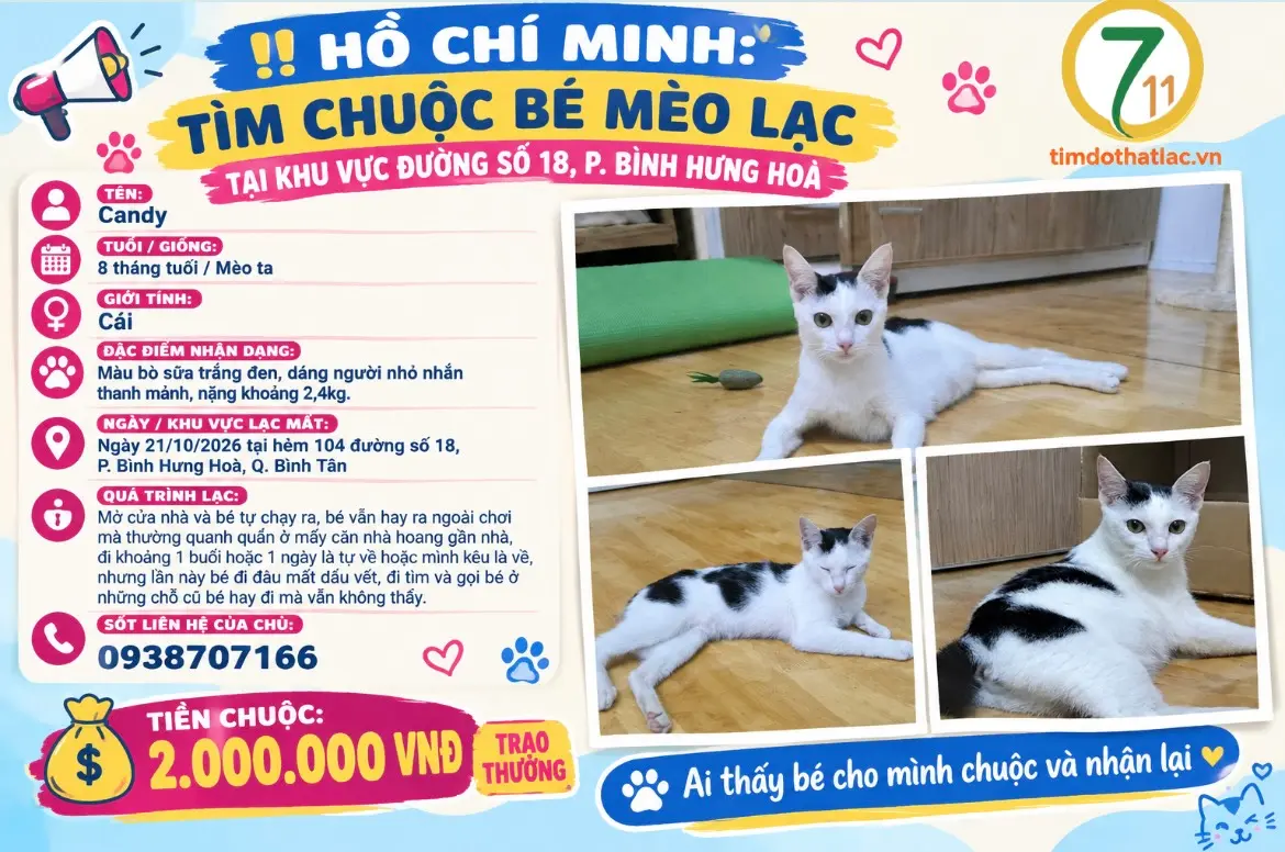 ‼️ Hồ Chí Minh: Tìm chuộc bé mèo lạc tại khu vực đường số 18, p. Bình Hưng Hoà